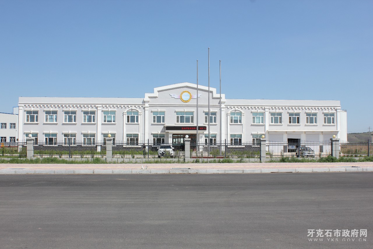 金杨 (11).JPG